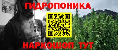 сатива Новозыбков